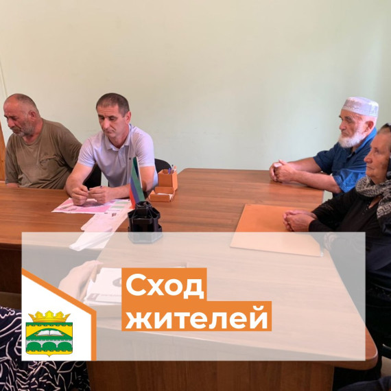 Сход жителей.